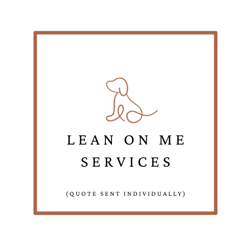 LMCA Services